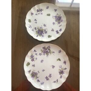 Set Of 2 Antique Ovington Brothers H&Co Side Plates Violets England